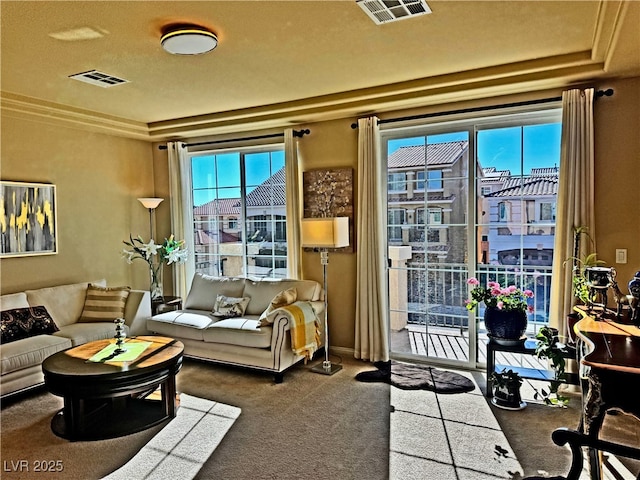 living room featuring carpet flooring and a raised ceiling