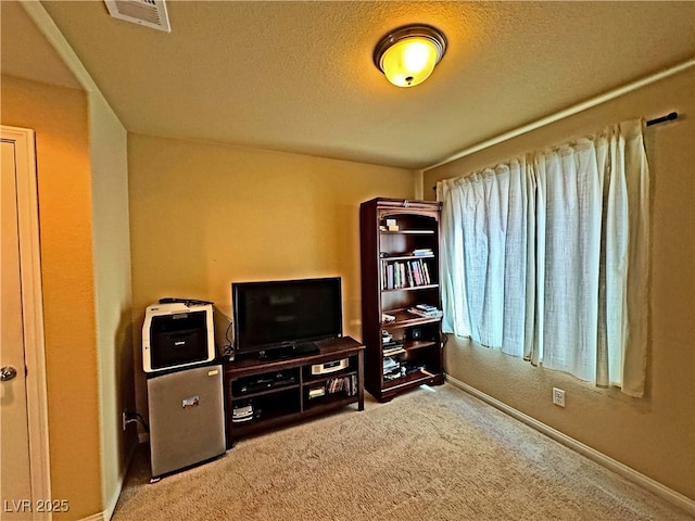 home office with carpet flooring and a textured ceiling