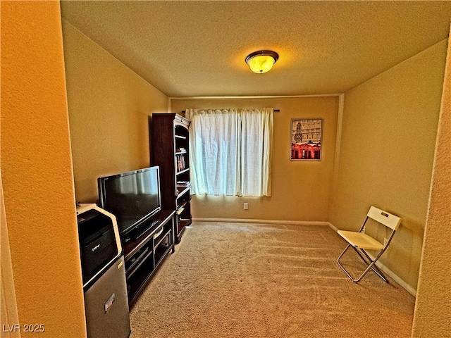 living area with a textured ceiling and carpet flooring