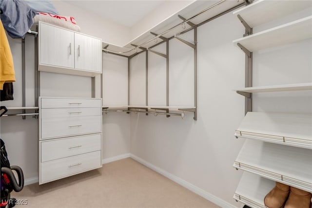 spacious closet featuring light colored carpet