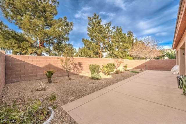 view of yard with a patio area