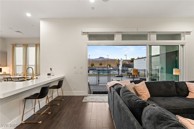 living room with dark hardwood / wood-style floors and sink