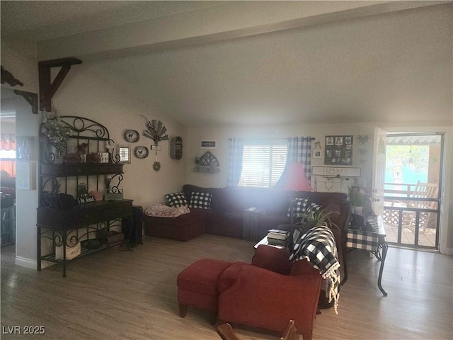 living room featuring wood-type flooring, plenty of natural light, and a textured ceiling