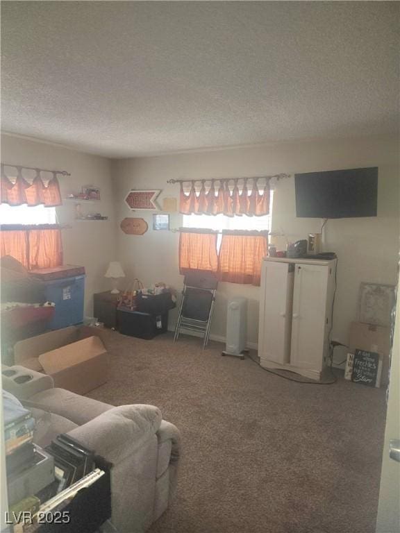 carpeted living room featuring a textured ceiling