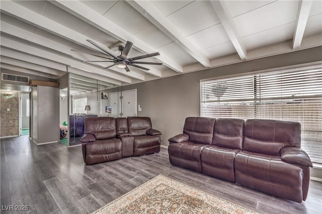 living room with beam ceiling, hardwood / wood-style flooring, a wealth of natural light, and ceiling fan