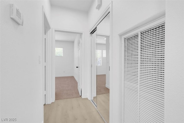 corridor featuring light hardwood / wood-style floors