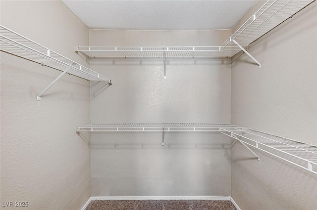 spacious closet with carpet