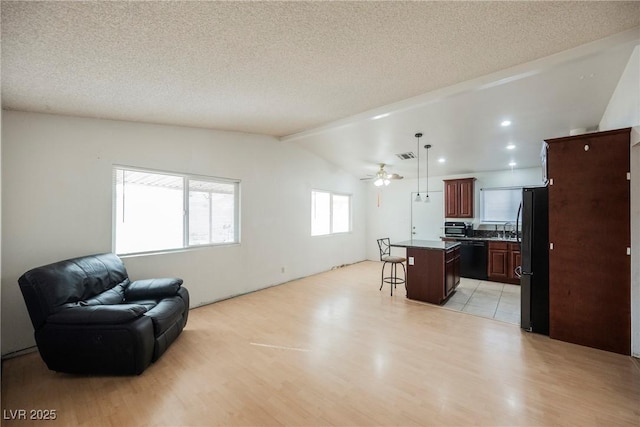 interior space featuring light hardwood / wood-style flooring, sink, vaulted ceiling, and a textured ceiling