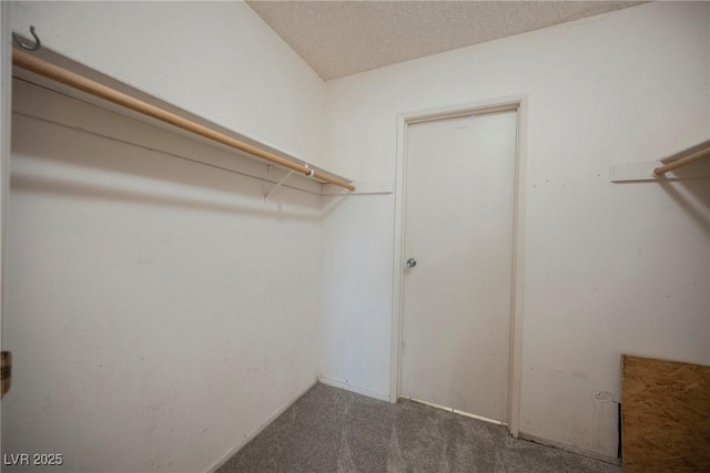 spacious closet featuring dark carpet