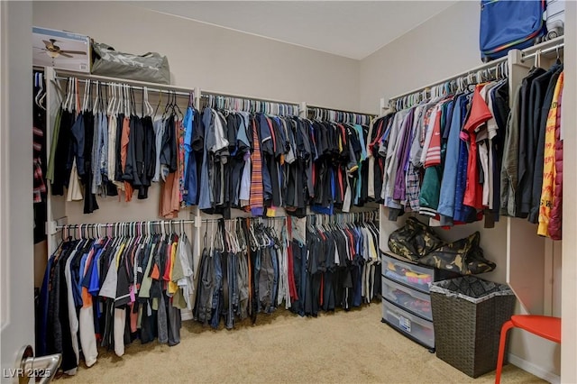 spacious closet with carpet and ceiling fan