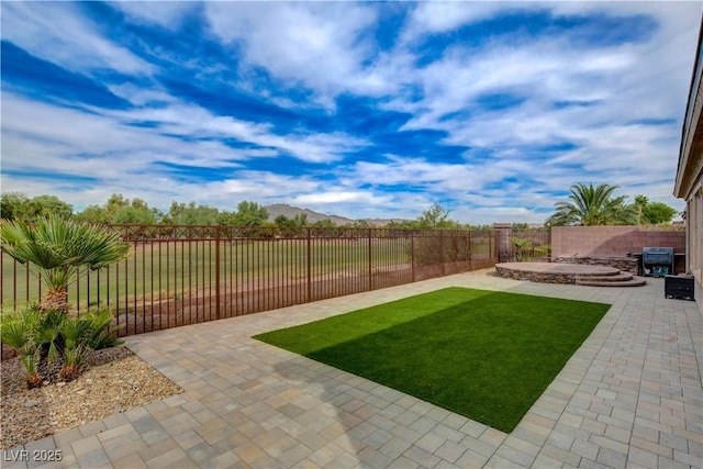 view of yard with a fenced backyard and a patio