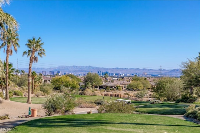 view of community with a mountain view and a yard