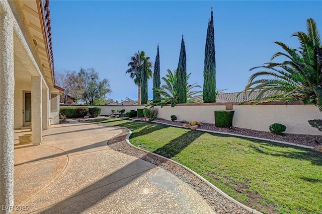 view of yard featuring a patio