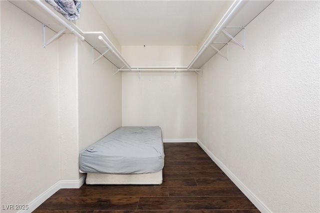 walk in closet featuring dark hardwood / wood-style flooring