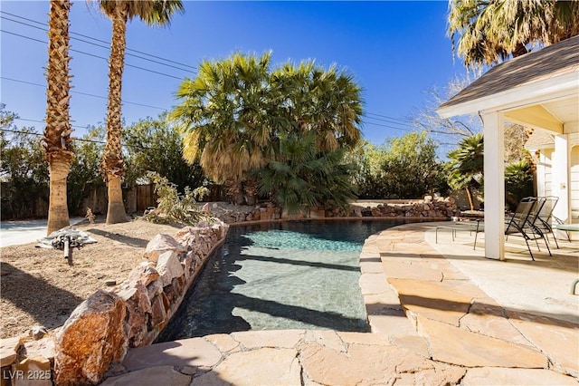 view of pool with a patio area