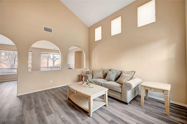 living room featuring wood-type flooring and high vaulted ceiling