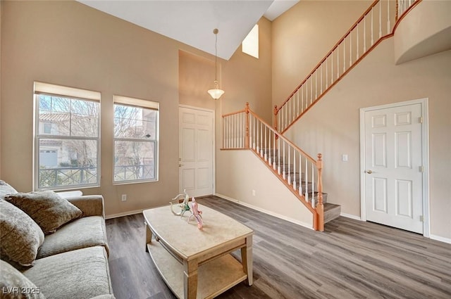 living room with a high ceiling and dark hardwood / wood-style floors