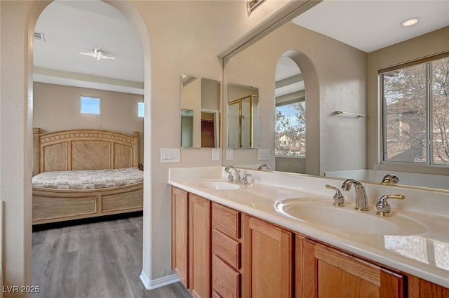 bathroom with vanity, plenty of natural light, and hardwood / wood-style floors