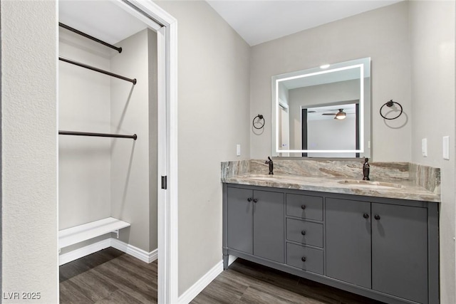 bathroom featuring wood-type flooring and vanity