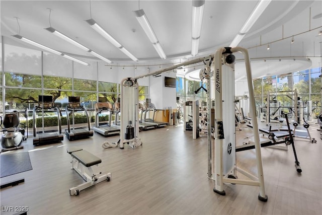 exercise room with a wall of windows and hardwood / wood-style floors