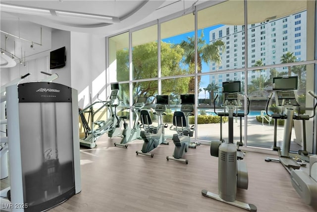 gym featuring hardwood / wood-style floors and floor to ceiling windows