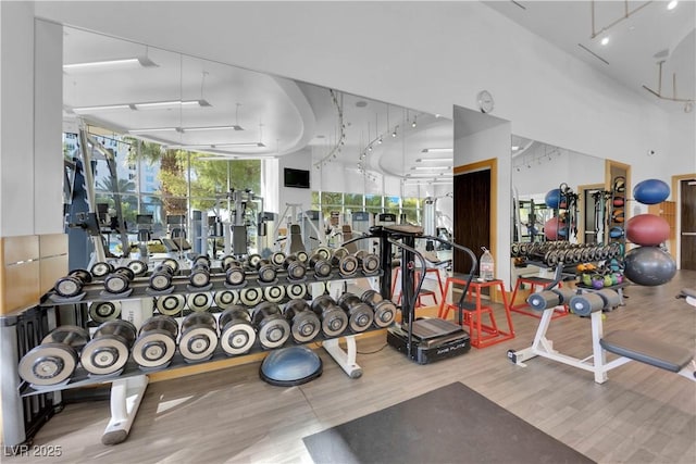 gym with wood-type flooring