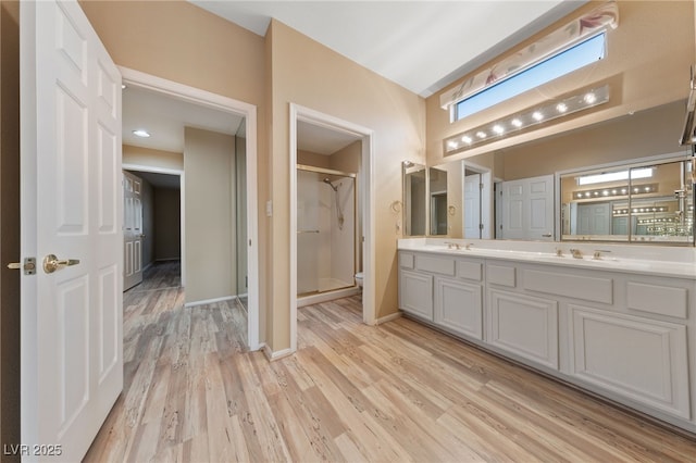 bathroom featuring vanity, wood-type flooring, and walk in shower