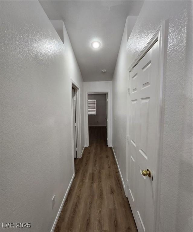 hallway featuring dark hardwood / wood-style floors