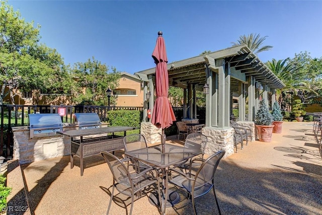 view of patio / terrace with area for grilling and grilling area