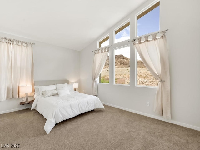 bedroom with multiple windows and carpet