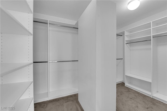 walk in closet featuring carpet