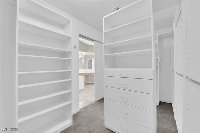 walk in closet featuring carpet floors