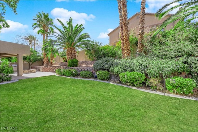 view of yard with a patio area