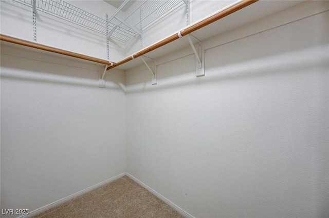 spacious closet with carpet