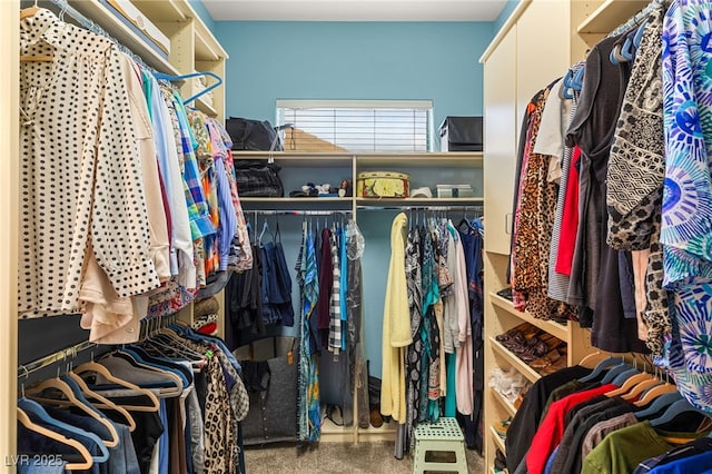 spacious closet featuring carpet