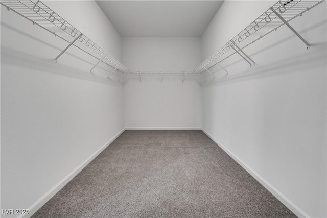 spacious closet with carpet floors