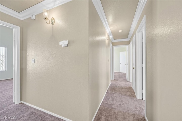 hall with light colored carpet and ornamental molding