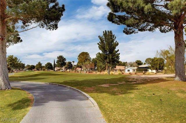 view of property's community featuring a yard