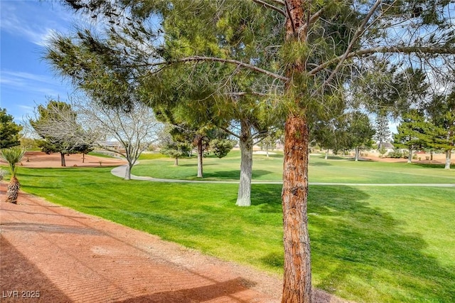 view of home's community featuring a yard