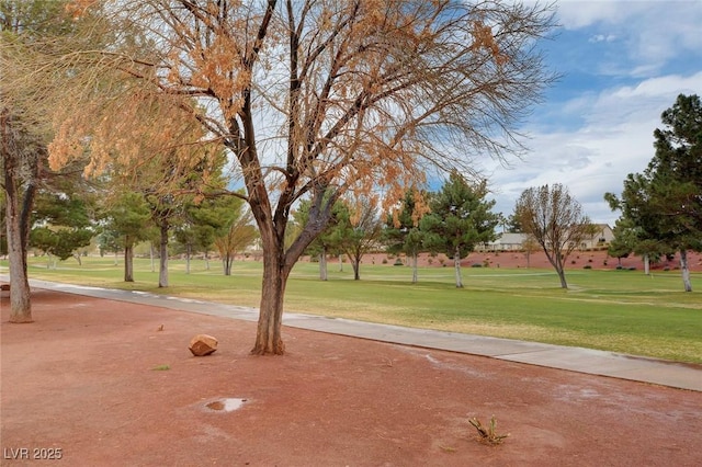 view of community featuring a yard