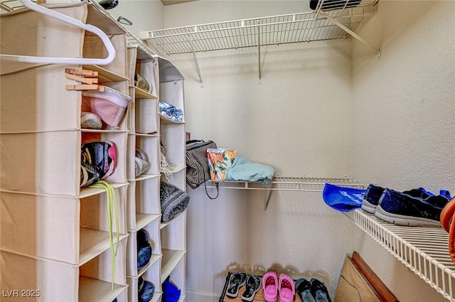 view of spacious closet