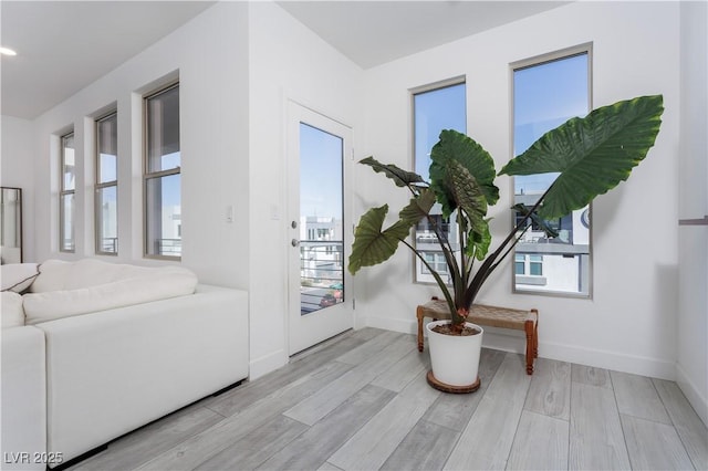 interior space featuring a wealth of natural light and light hardwood / wood-style flooring