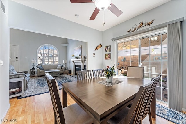 dining room featuring ceiling fan and light hardwood / wood-style flooring