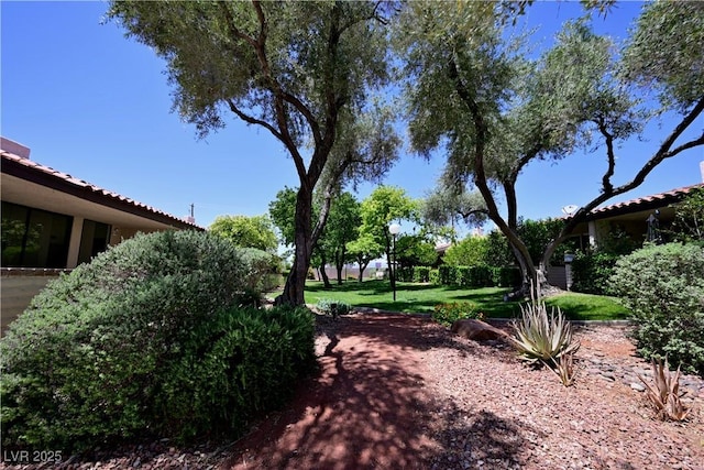 3126 Asoleado Cir, Las Vegas, NV 89121 - view of grassy yard