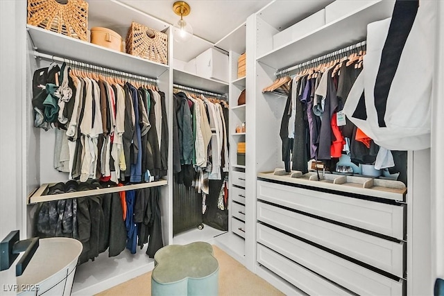 view of spacious closet