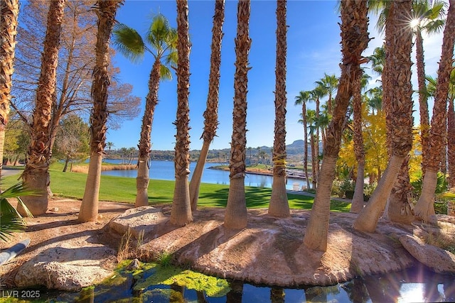 view of yard with a water view