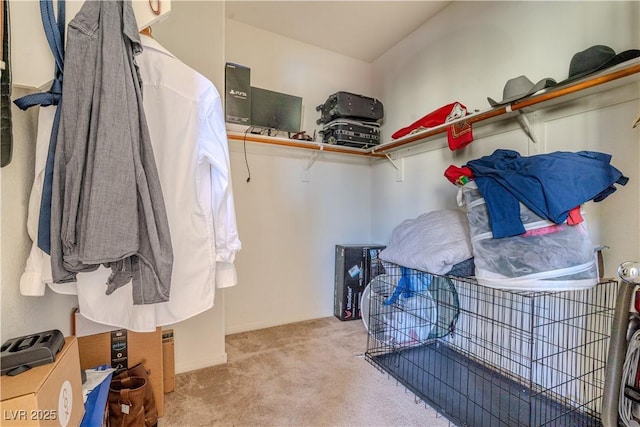 spacious closet featuring light carpet