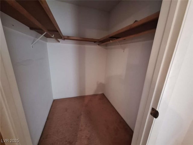 spacious closet with carpet