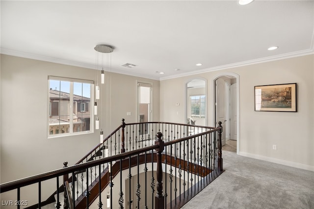 corridor with crown molding and carpet floors