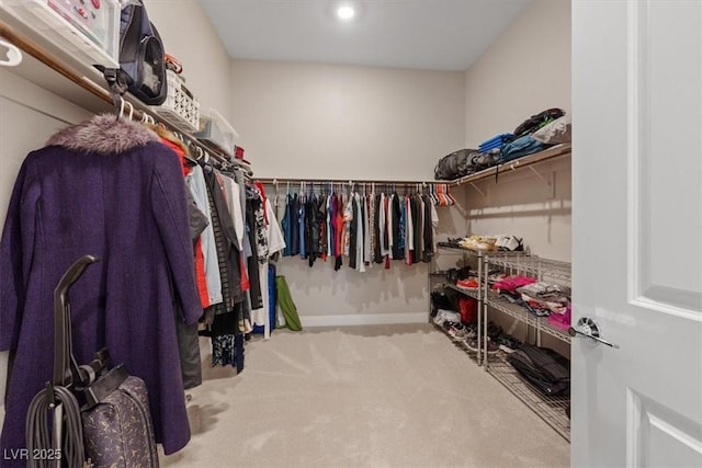 walk in closet with carpet flooring